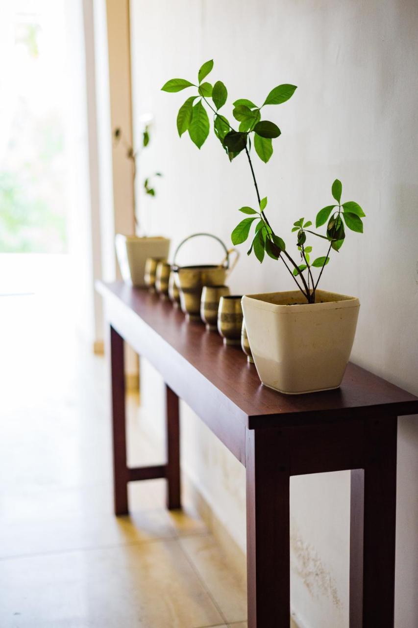Mekosha Ayurveda Spa Suites Retreat & Resort Attingal Dış mekan fotoğraf