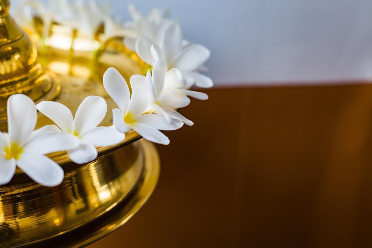 Mekosha Ayurveda Spa Suites Retreat & Resort Attingal Dış mekan fotoğraf
